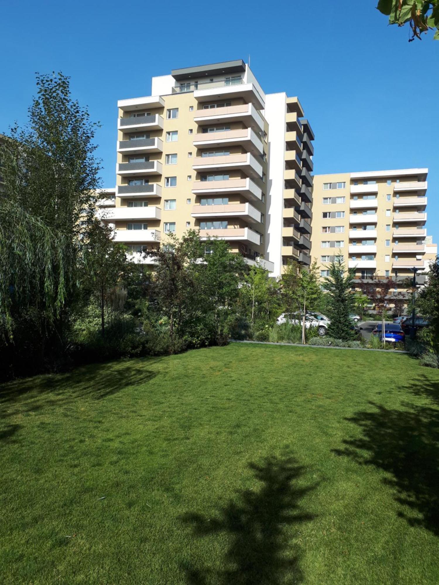 Wonderful Apartment Брашов Экстерьер фото